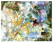 butterfly-0005-TG